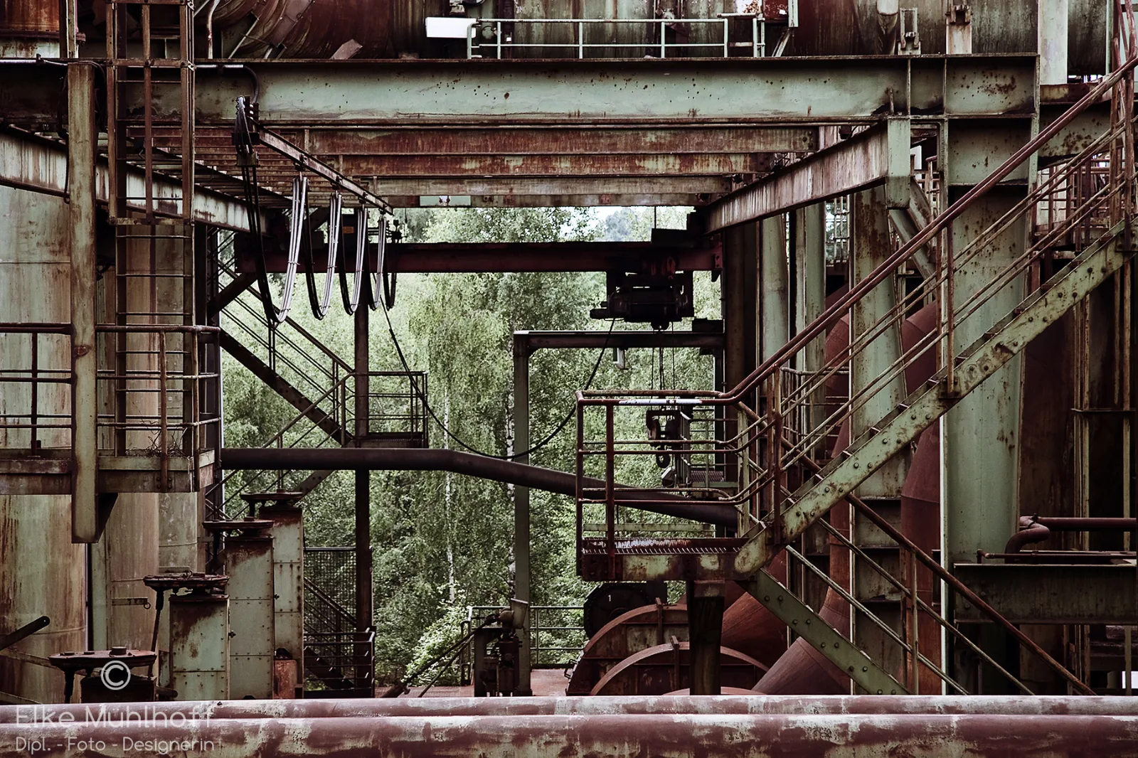 Landschafts-/Stillleben-Aufnahme von Elke Mühlhoff — 12